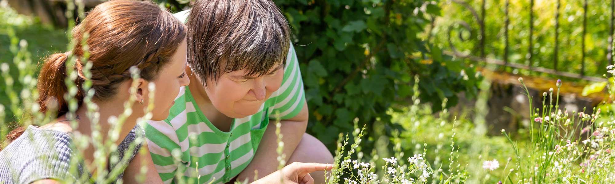 La mise sous tutelle en pratique