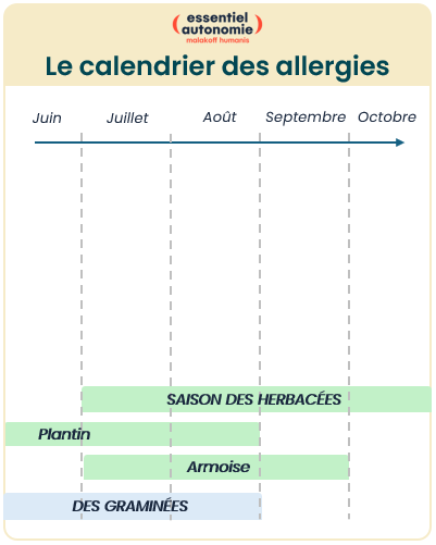 Infographie n°3 : Les allergies aux pollens - le calendrier des allergies (voir la description ci-dessous)