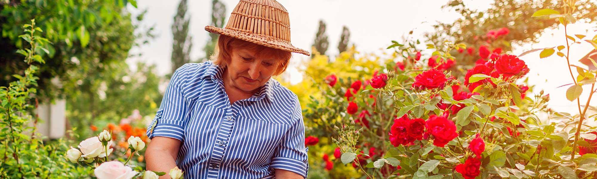 Les seniors et le jardinage : mode d'emploi