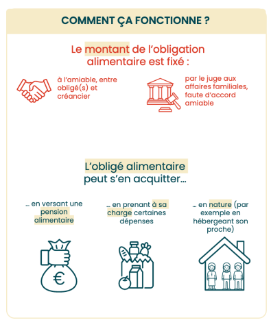 Infographie 3 sur l'obligation alimentaire.
Comment ca fonctionne ?
Le montant de l'obligation alimentaire est fixé :
- à l'amiable, entre obligé(s) et créancier
- par le juge aux affaires familiales, faute d'accord à l'amiable.
L'obligé alimentaire peut s'en acquitter :
- en versant une pension alimentaire
- en prenant à sa charge certaines dépenses
- en nature (par exemple en hébergeant son proche).