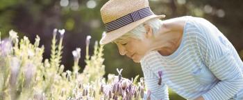 Le retour du pollen : gare aux allergies saisonnières !